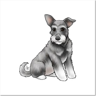 Dog - Miniature Schnauzer - Salt and Pepper Natural Posters and Art
